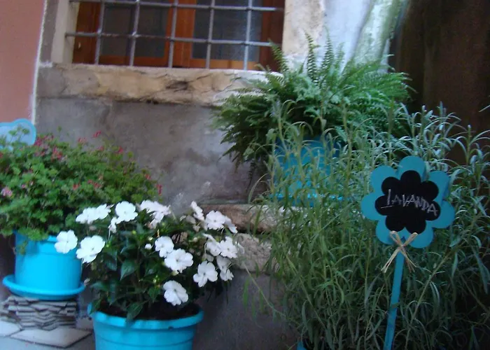 Casa de hóspedes Giardino Giusti House & Court